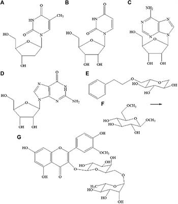 Nutraceutical Study on Maianthemum atropurpureum, a Wild <mark class="highlighted">Medicinal Food</mark> Plant in Northwest Yunnan, China